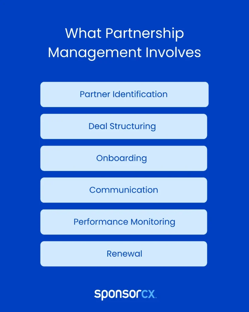 What Is Partnership Management? Key Strategies and Skills