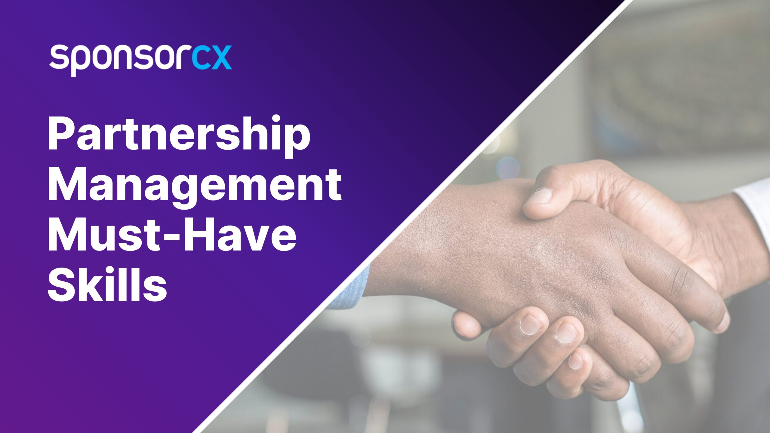Partnership Management Must-Have Skills Image