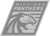 Michigan Panthers Michigan Panthers