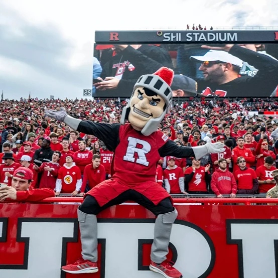 Scarlet Knight