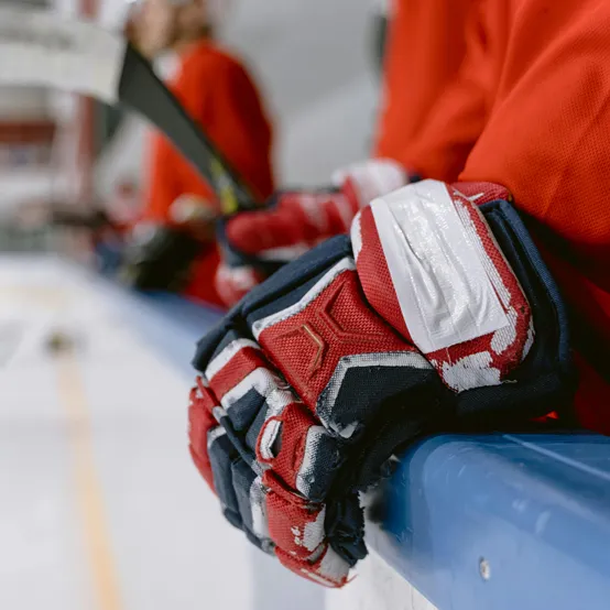 South Carolina Stingrays